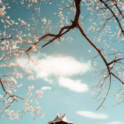 新西兰联储开始招聘助理主席职位